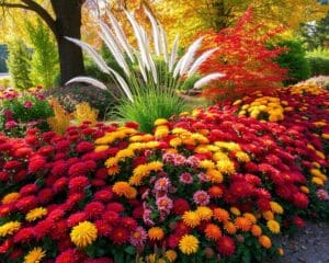 Beetgestaltung im Herbst: Farbenpracht im Garten