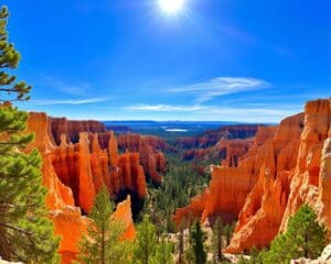 Natur und Parks im Bryce Canyon, Utah