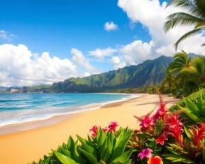 Strände und Natur auf Oahu, Hawaii