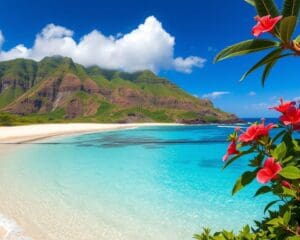 Strände und Natur auf Oahu, Hawaii