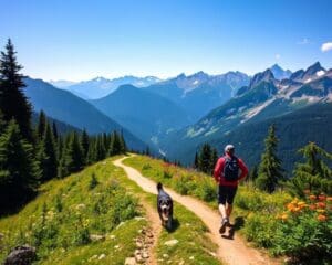 Die besten Orte für Abenteuer mit Hund