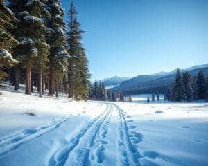 Tipps für die besten Winterwanderungen