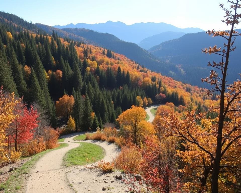 Die besten Wanderwege für aktive Herbsttage