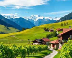 Jenins – Wein und Weitblick im Bündnerland 🇨🇭