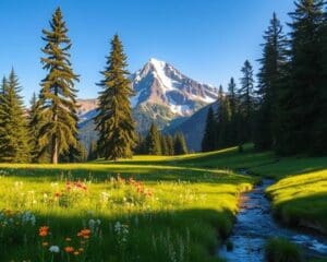 Schruns – Tor zum Montafon entdecken 🇦🇹