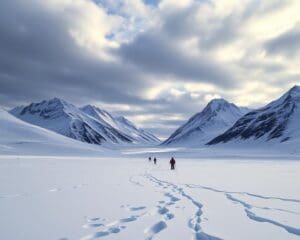 Was ist das Besondere an Skitourenreisen in Island?