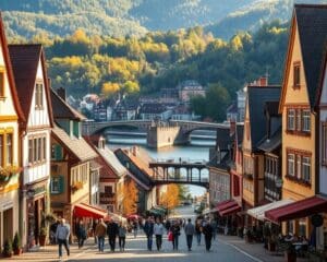 Was macht das Wohnen in Bad Säckingen interessant?